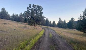 639 Pheasant Dr, Alturas, CA 96101
