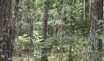 S LAKESIDE LANE lot 40, Alpine, AL 35014