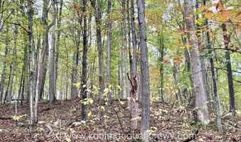 Jesse Run Rd, Arnoldsburg, WV 25234