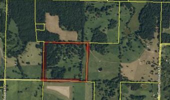 000 County Road 413, Alton, MO 65606