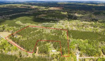 2058 COOSA COUNTY ROAD 91, Alexander City, AL 35010