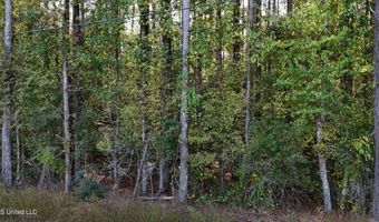 Old Pinola Braxton Road, Braxton, MS 39044