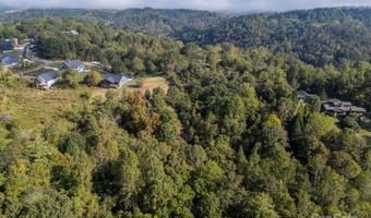 19 Woodchuck Cove Way, Alexander, NC 28701