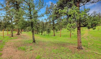 64 Elk Horn Ct, Bailey, CO 80421