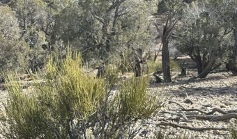 County Road 2550, Aztec, NM 87410