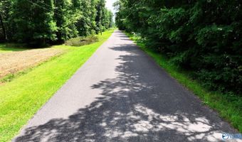 Wilcox Street SE, Attalla, AL 35954