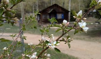 44174 Poudre Canyon Rd, Bellvue, CO 80512