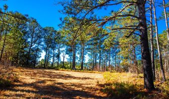 6978 Moontown Dr, Appling, GA 30802
