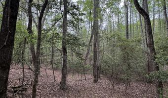 Ridge Road lot E, Appling, GA 30802