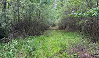 2780 Jackson Liberty Rd, Bogue Chitto, MS 39629