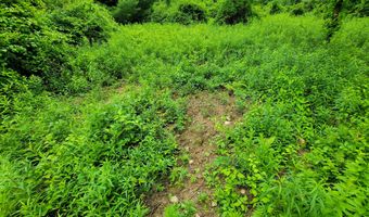 399 Bard Rd, Bennington, VT 05201