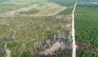 Red Oak Creek Road, Bethune, SC 29009