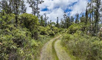 16-1660 39TH Ave, Keaau, HI 96749
