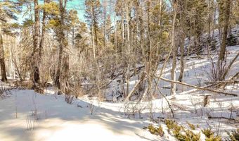 45 Sacramento Dr, Angel Fire, NM 87710