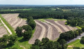 216 County Road 201, Ariton, AL 36010