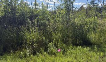 50 Acres Herron Rd, Alpena, MI 49707