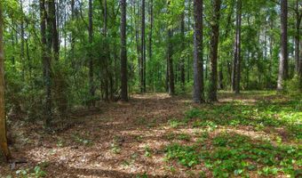 23826 Opine Rd, Andalusia, AL 36421