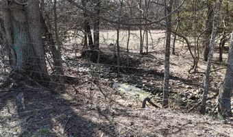 Rr 4 Box 1307-A, Ava, MO 65608