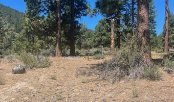 3559 Knob Point Trl 90, Carson City, NV 89705