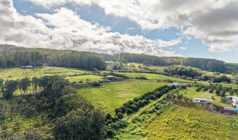 29-613 CHIN CHUCK Rd, Hakalau, HI 96710