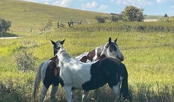40 Upper Prairie Dog Rd, Banner, WY 82832