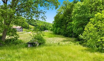 16037 Knights Bridge Rd, Abingdon, VA 24210