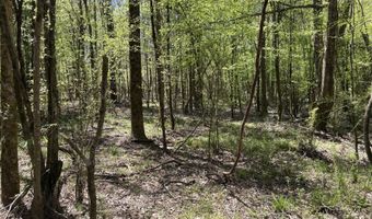SW Auburn Drive, Bogue Chitto, MS 39629