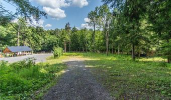 Parcel A Beaver Trail, Alder Creek, NY 13301