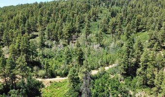 190 Jackalope Dr, Bayfield, CO 81122