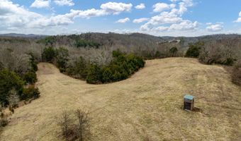 Smithtown Road, Afton, TN 37616