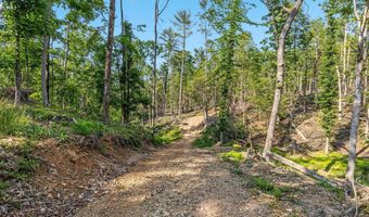 417 MALLARD Dr, Basye, VA 22810