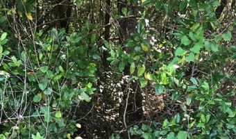 Sweetwater Lane, Barnwell, SC 29812