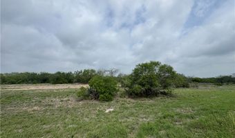 Highway 359 lot 0, Alice, TX 78332