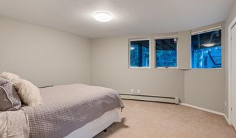 1650 Homestake Dr, Aspen, CO 81611