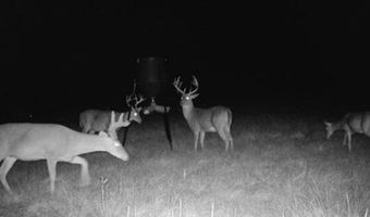Hwy 131, Baker Hill, AL 36027