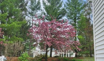 985 Goldenrod Trl, Aurora, OH 44202