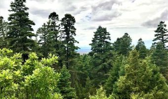 53 Paw A Suki, Arroyo Seco, NM 87514