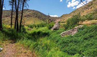200 Falls Creek Dr, Bellvue, CO 80512