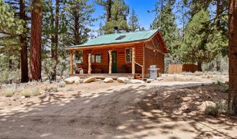 43630 Rainbow Ln, Angelus Oaks, CA 92305