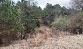 34655 Co Rd 49, Beaverton, AL 35544