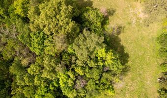 1250 County Road 405, Alton, MO 65606