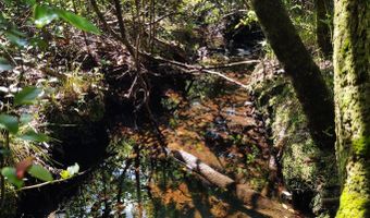 Noland Pond Road, Alford, FL 32420