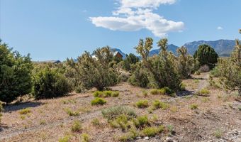 52 Birch Spring Rd, Cold Creek, NV 89124