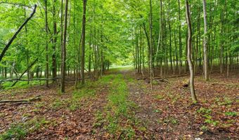 Erdman Road, Arcadia, MI 49660