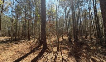 Bhl 11 Boise Cascade Bhl 11, Bethune, SC 29009