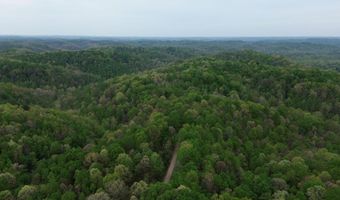 1271 A Tunnel Ridge Rd, Argillite, KY 41121