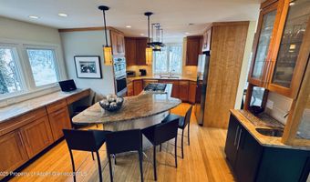 302 Roaring Fork Dr, Aspen, CO 81611