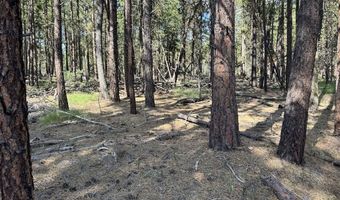 Thunderbear Road 46, Bonanza, OR 97623