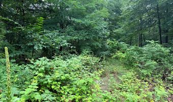 TR D-15 DEER PATH Road, Augusta, WV 26704