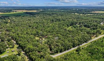 4700 55th Ave, Bell, FL 32619